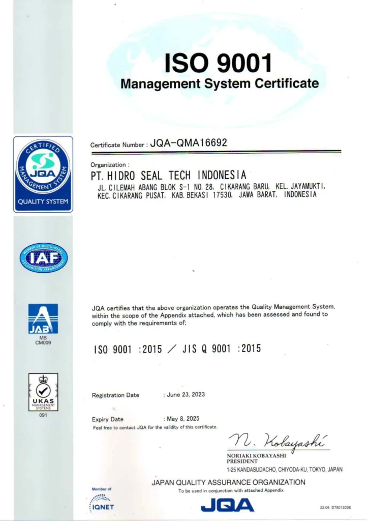 ISO 9001 (1)